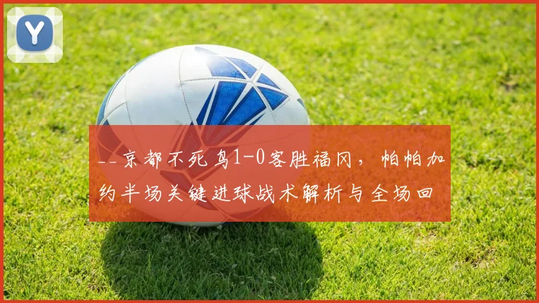 __京都不死鸟1-0客胜福冈,帕帕加约半场关键进球战术解析与全场回顾__