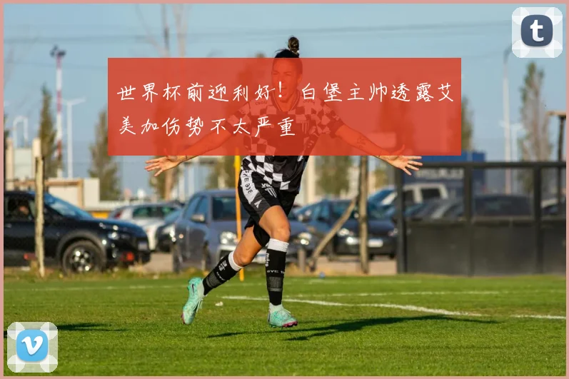 世界杯前迎利好!白堡主帅透露艾美加伤势不太严重